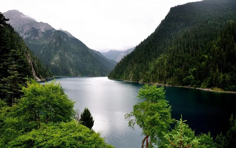 创意稳定性新型